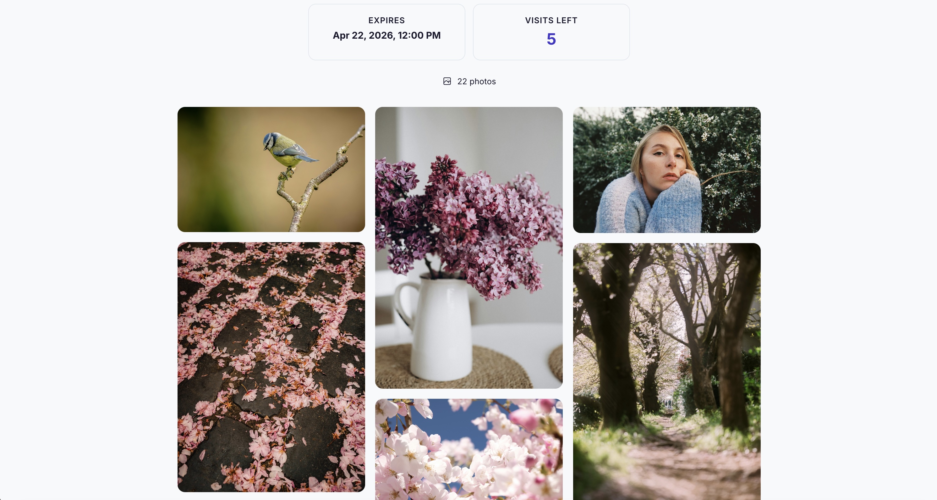 Screenshot of a self-destructing gallery link with expiration settings